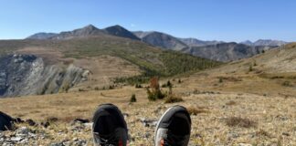 Crispi Attiva Review