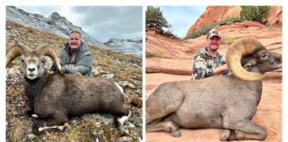 TT#70 Chasing the Grand Slam: A Sheep Hunter’s Journey Tipsy Tuesday Grand Slam