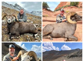 TT#70 Chasing the Grand Slam: A Sheep Hunter’s Journey Tipsy Tuesday Grand Slam