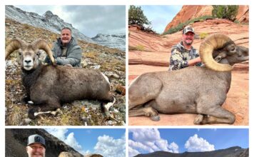 TT#70 Chasing the Grand Slam: A Sheep Hunter’s Journey Tipsy Tuesday Grand Slam