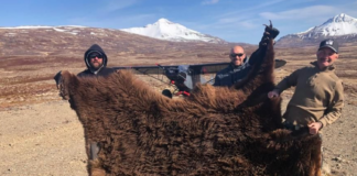 Spring Black Bears with Joe Kondelis