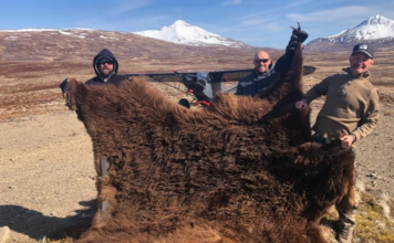 Spring Black Bears with Joe Kondelis