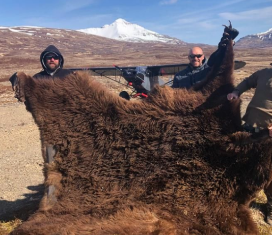 Spring Black Bears with Joe Kondelis