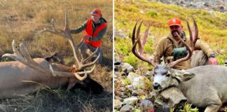 Best Gear of 2025 Best Gear of 2025