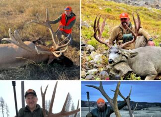 Best Gear of 2025 Best Gear of 2025