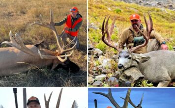 Best Gear of 2025 Best Gear of 2025