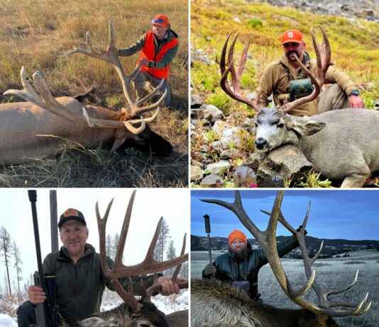 Best Gear of 2025 Best Gear of 2025