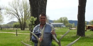 The Art of Shed Hunting