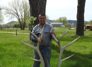 The Art of Shed Hunting