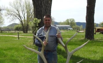 The Art of Shed Hunting