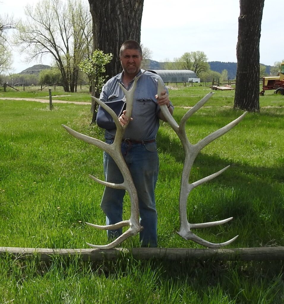 420 Bull Elk Shed Hunting
