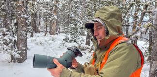 Swarovski AT Balance Review