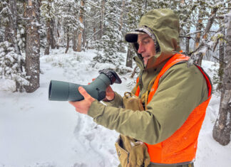 Swarovski AT Balance Review