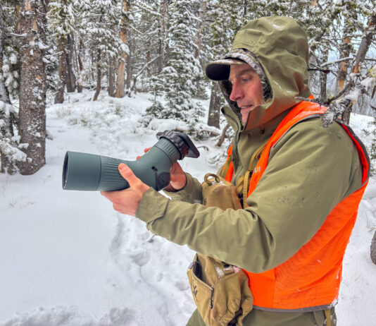 Swarovski AT Balance Review