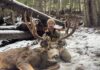 Killing a Timber Giant Kootenaybackwoods 2025 Mule Deer