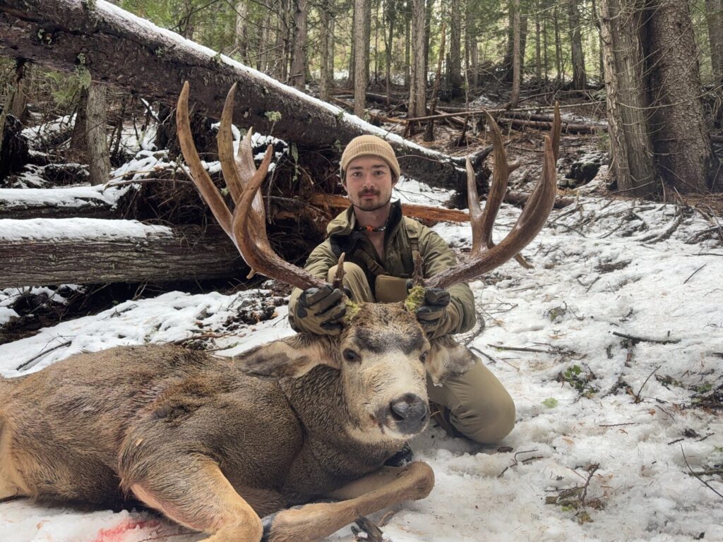 Kootenaybackwoods 2025 Mule Deer