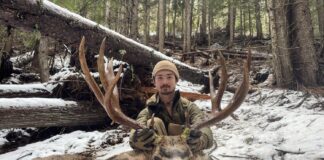 Killing a Timber Giant Kootenaybackwoods 2025 Mule Deer