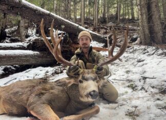 Killing a Timber Giant Kootenaybackwoods 2025 Mule Deer