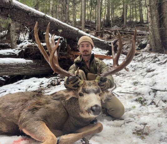 Killing a Timber Giant Kootenaybackwoods 2025 Mule Deer