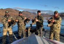 Kodiak Deer Hunt Round II