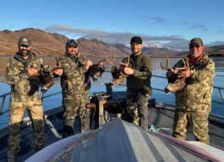 Kodiak Deer Hunt Round II