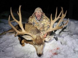 James Yates: Leveraging Data for Archery Excellence James Yates Arrow Ballistic Study