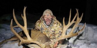 James Yates: Leveraging Data for Archery Excellence James Yates Arrow Ballistic Study