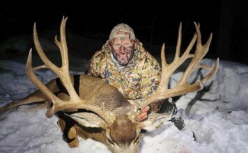 James Yates: Leveraging Data for Archery Excellence James Yates Arrow Ballistic Study