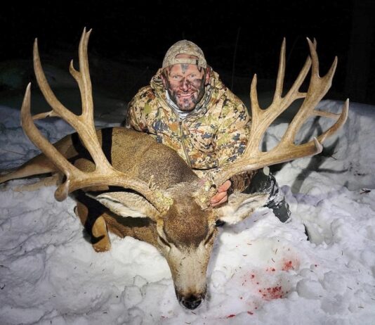 James Yates: Leveraging Data for Archery Excellence James Yates Arrow Ballistic Study