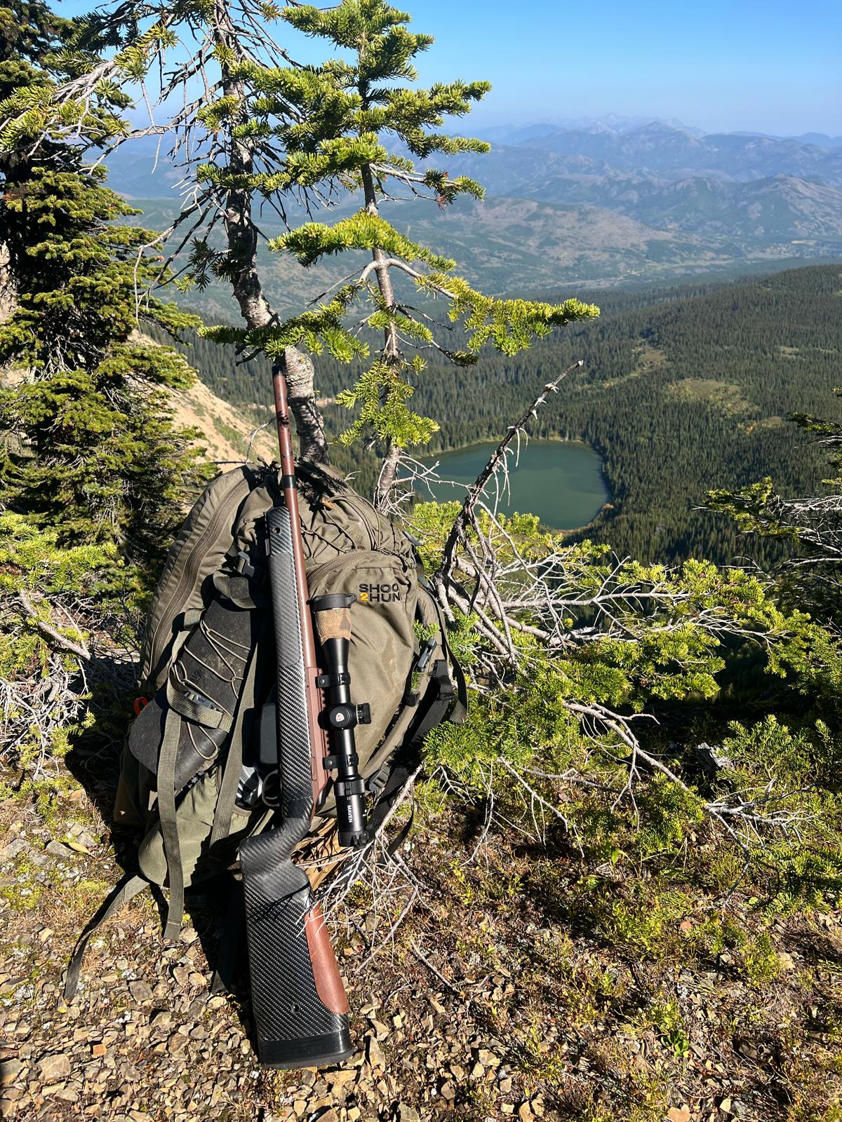 A Teratorn and Tikka in their natural environment.