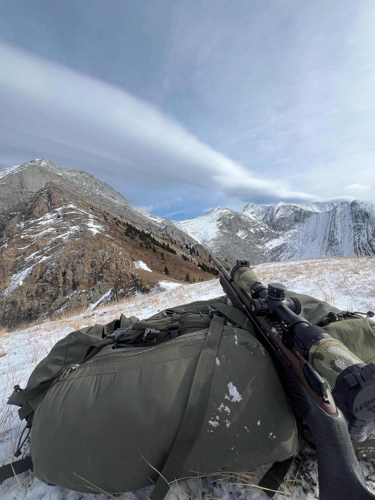 Set up for a prone shot after locating a band of rams. 