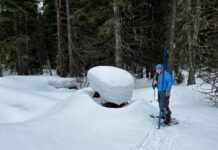 West-wide Snowpack & Precipitation Update with Josh Boyd Josh Boyd Snow Surveying