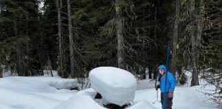 West-wide Snowpack & Precipitation Update with Josh Boyd Josh Boyd Snow Surveying