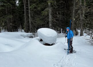 West-wide Snowpack & Precipitation Update with Josh Boyd Josh Boyd Snow Surveying