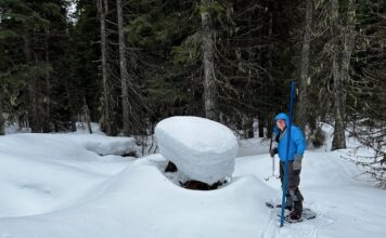 West-wide Snowpack & Precipitation Update with Josh Boyd Josh Boyd Snow Surveying