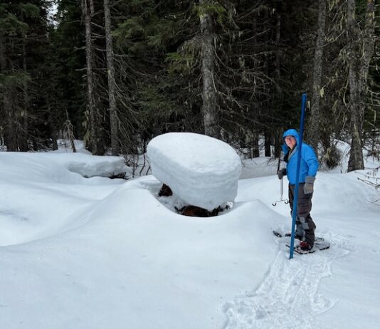 West-wide Snowpack & Precipitation Update with Josh Boyd Josh Boyd Snow Surveying