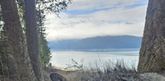 Argali Serac MagnaCut Knife Review