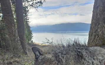 Argali Serac MagnaCut Knife Review