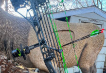 Mathews ARC Bow Review