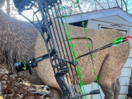 Mathews ARC Bow Review