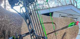 Mathews ARC Bow Review