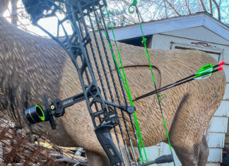 Mathews ARC Bow Review