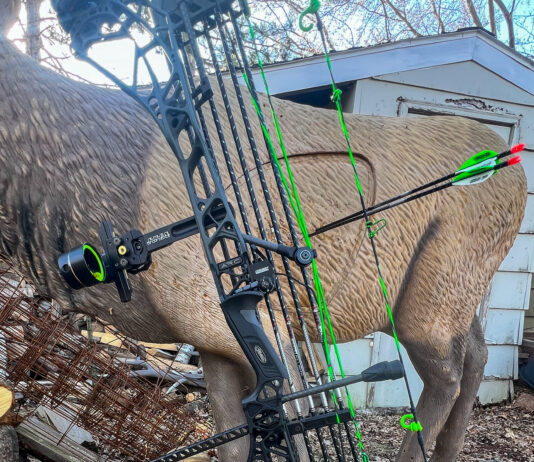 Mathews ARC Bow Review