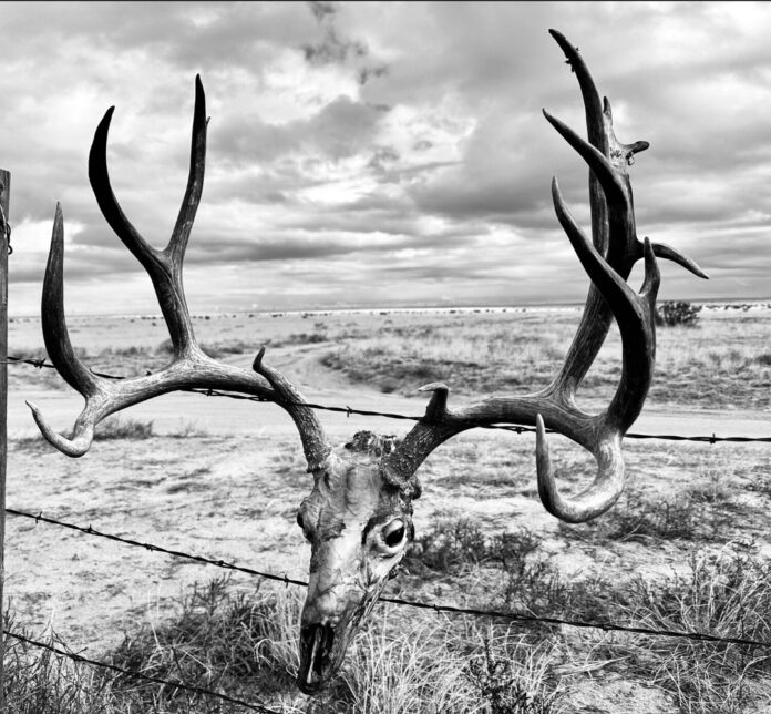 What does 2026 hold for Wyoming's Mule Deer hunters