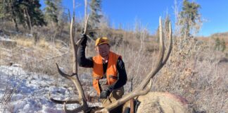 What Do Elk Eat? Elk Nutrition, Habitat, and Finding More Elk with Luke Schultz Luke Schultz Bull Elk
