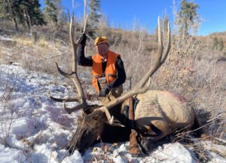 What Do Elk Eat? Elk Nutrition, Habitat, and Finding More Elk with Luke Schultz Luke Schultz Bull Elk