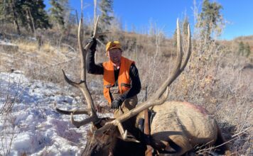 What Do Elk Eat? Elk Nutrition, Habitat, and Finding More Elk with Luke Schultz Luke Schultz Bull Elk
