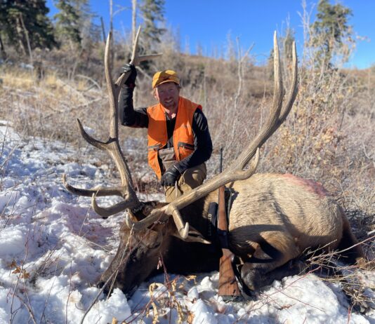 What Do Elk Eat? Elk Nutrition, Habitat, and Finding More Elk with Luke Schultz Luke Schultz Bull Elk