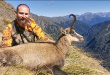Mastering New Zealand’s Mountain Hunts: Challenges and Rewards "Mastering New Zealand Mountain Hunts"