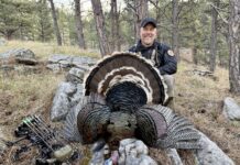 Iron Will Turkey Broadhead Review